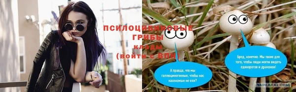 2c-b Пересвет