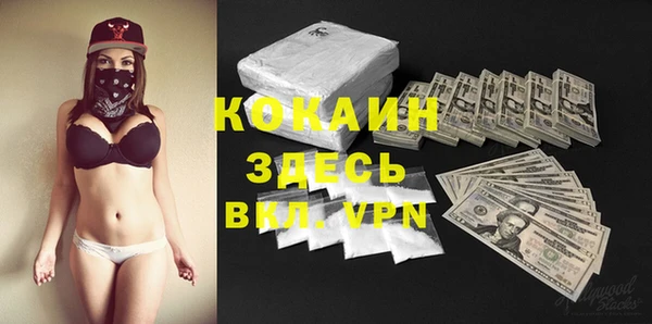 ПСИЛОЦИБИНОВЫЕ ГРИБЫ Осинники