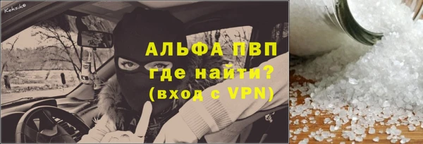 ПСИЛОЦИБИНОВЫЕ ГРИБЫ Осинники