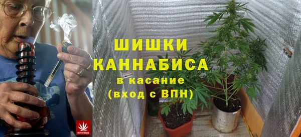 ПСИЛОЦИБИНОВЫЕ ГРИБЫ Остров