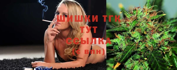 ПСИЛОЦИБИНОВЫЕ ГРИБЫ Осинники