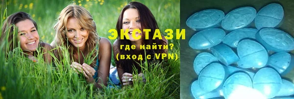 ПСИЛОЦИБИНОВЫЕ ГРИБЫ Осинники