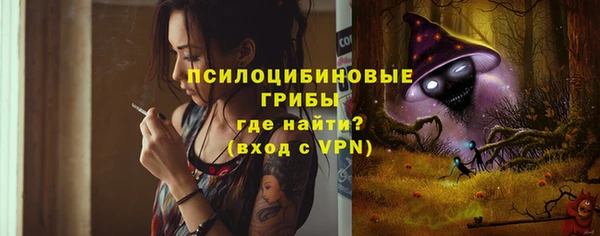 ПСИЛОЦИБИНОВЫЕ ГРИБЫ Остров