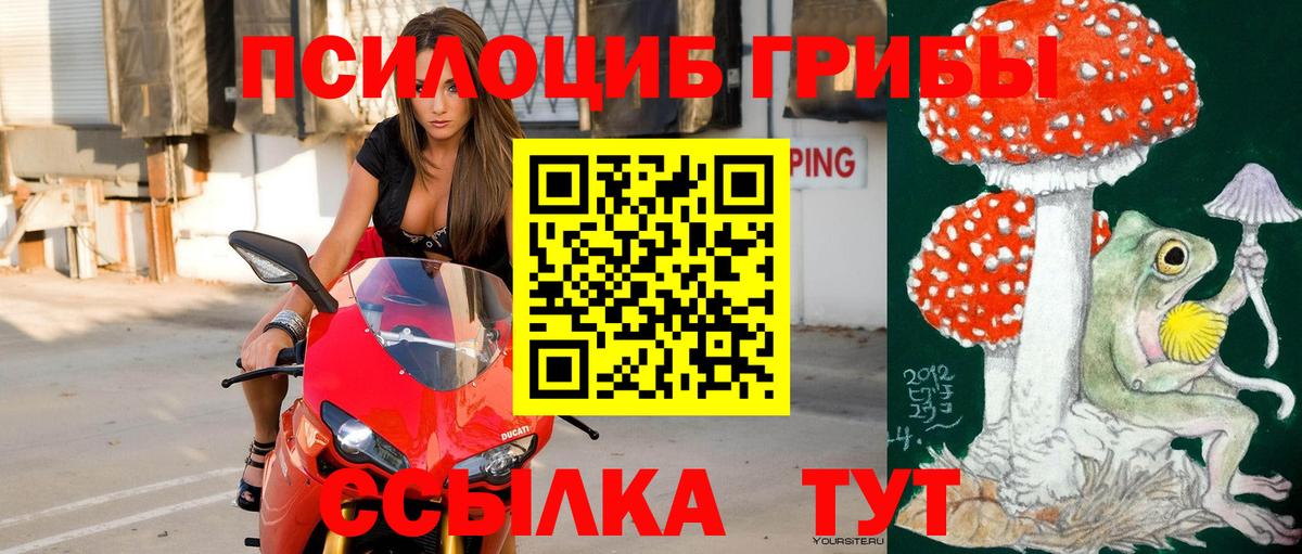 продажа наркотиков  Псилоцибиновые грибы Psilocybine cubensis  Большой Камень  Вход с VPN  Псилоцибиновые грибы Cubensis 