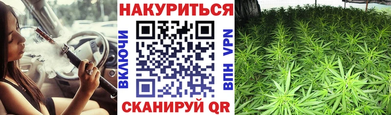 дарнет шоп  Большой Камень  Конопля индика 